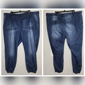 Gemma Rae pullon stretch denim joggers.  Women's plus size 24W.